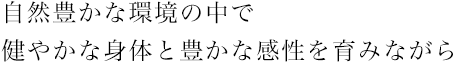 言葉の学び、身体の学び、感性の学び